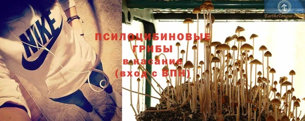шишки Зерноград