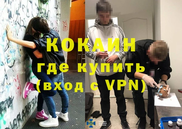шишки Зерноград
