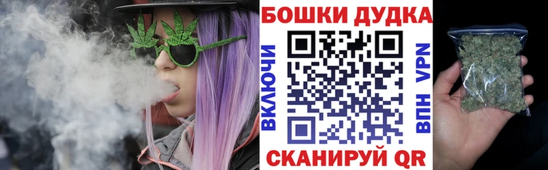 Купить закладки  Олёкминск  Каннабис сатива 